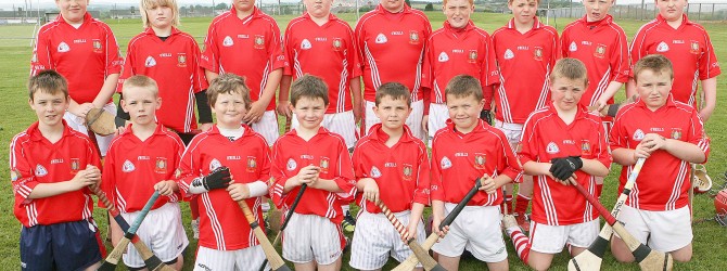 PRIMARY SCHOOL HURLING BLITZ SPONSORED BY CAULFIELDS SUPERVALUE