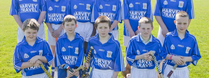 BOYS EASTERN PRIMARY SCHOOLS MINI SEVENS HURLING FINALS